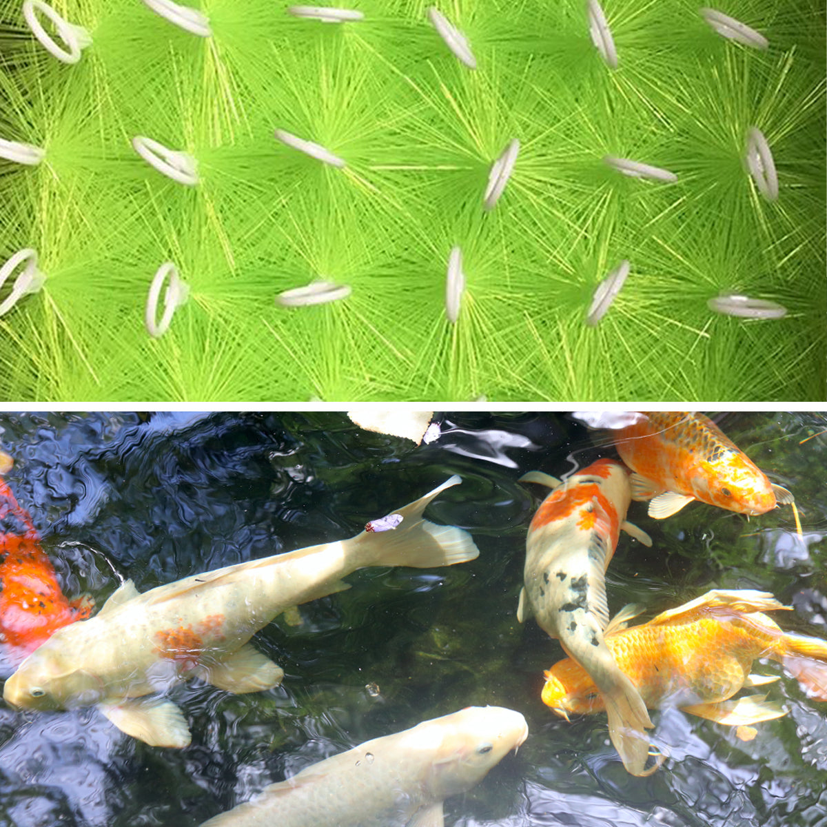 NinjaSieve 10 Packs Fish Pond Filter Brushes Set for Koi Pond Fish Tank Aquarium Water Garden Pond Skimmer Filter Cleaning Brush