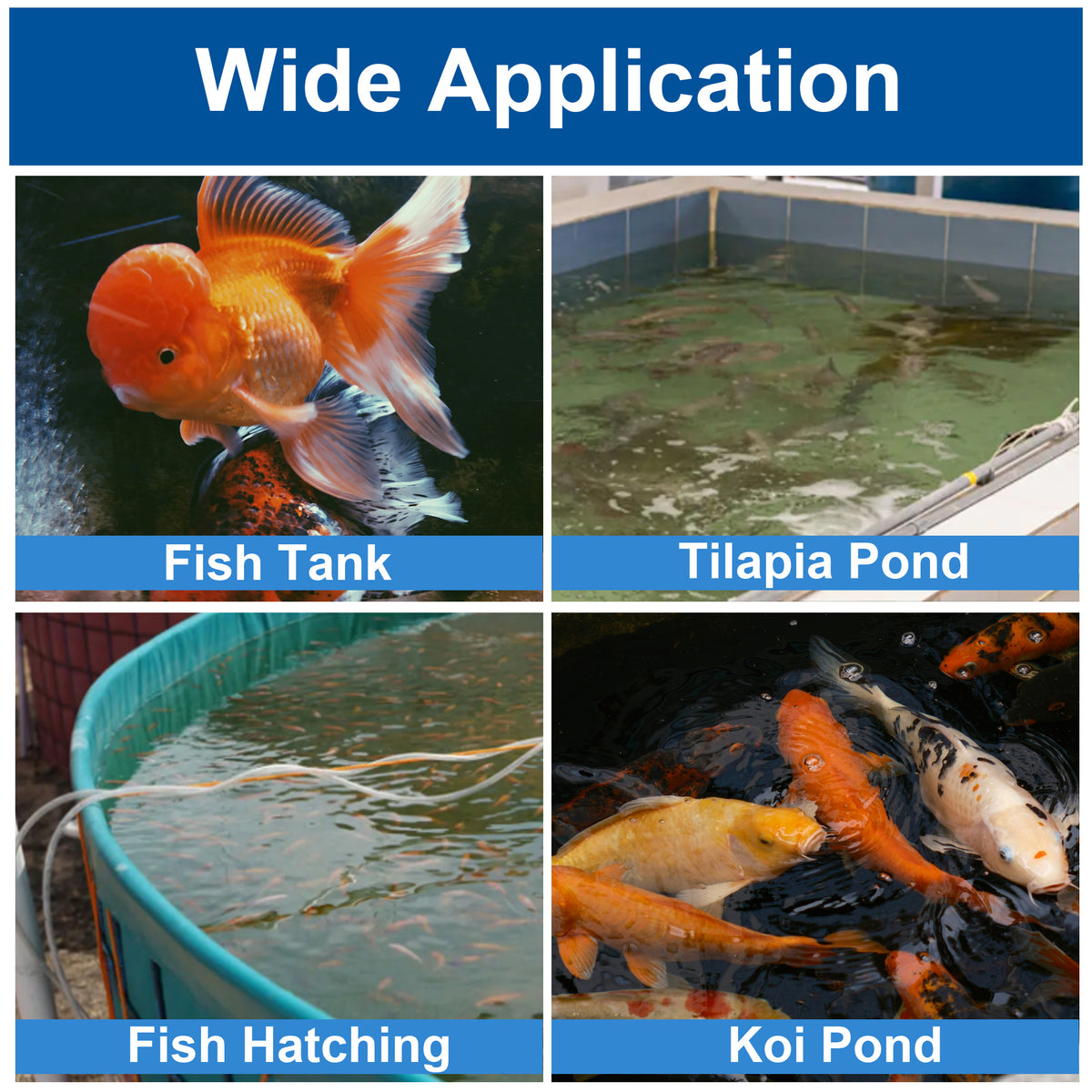 NinjaSieve RDF Automatic Rotary Drum Filter for Koi Tilapia Pond, Fish Farm,Aquarium,Hydroponics, Aquaculture, Aquaponics, with Mobile Control Box, Transparent Koi Pond Filter 4T10-PM (924GPH) - Coming soon