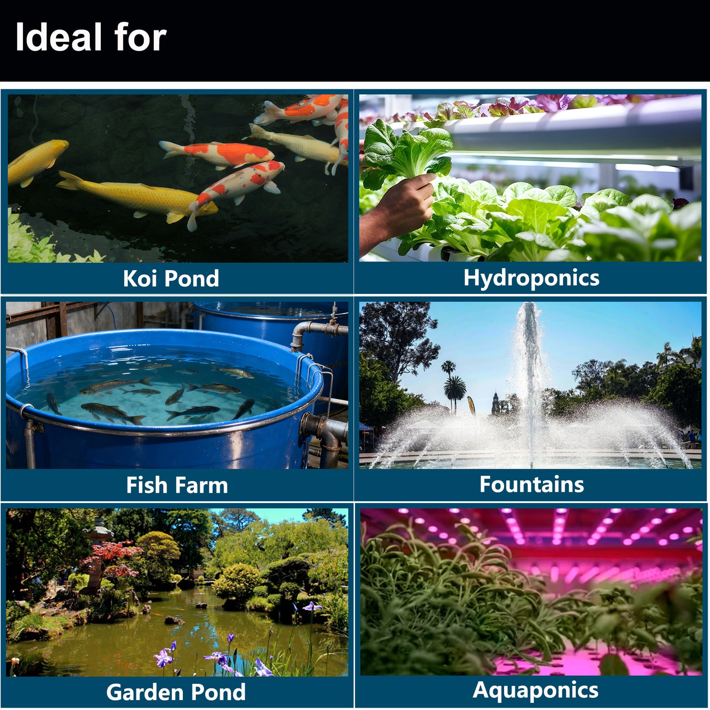 NinjaSieve RDF 10T10 Automatic Rotary Drum Filter for Koi Tilapia Pond, Aquarium, Fish Farm, Hydroponics, Aquaponics, Fountain, Water Filter System, Koi Pond Filter 10000 L/h  (2,640GPH)